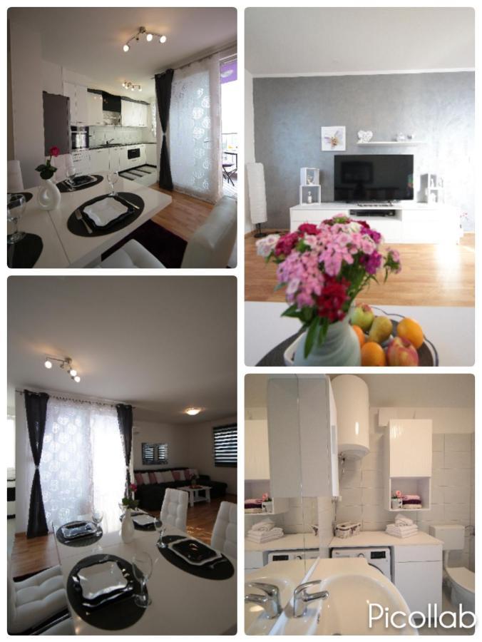 Apartment Adriatic Dream *